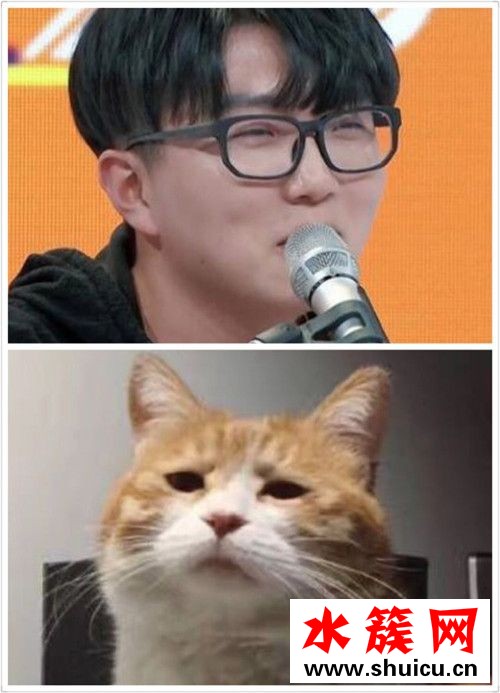 毛不易为什么火