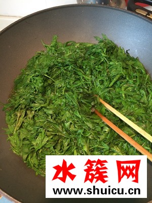 艾草什么时候采摘最好？