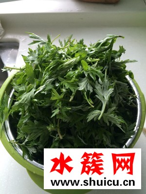 艾草什么时候采摘最好？