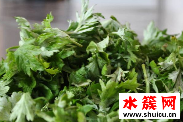 艾草什么时候采摘最好？