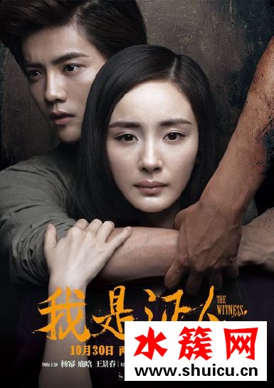 《我是证人》电影剧情介绍与精彩影评 我是证人百度云