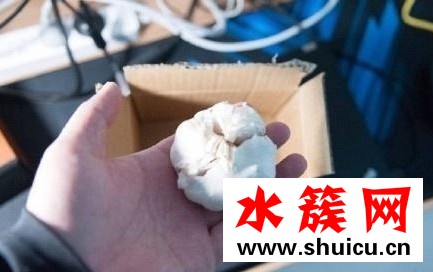 1葱1蒜代表什么