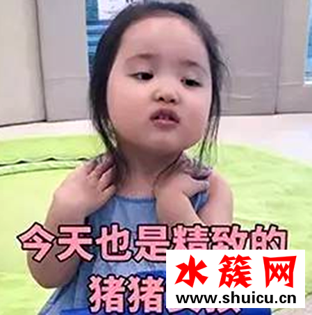 网络词猪精女孩是什么意思
